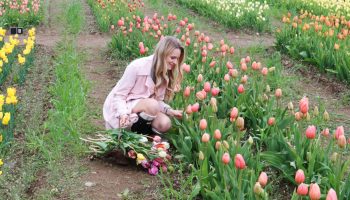 Celkom 7 cm… a predsa väčšina záhradníkov to nechce priznať.