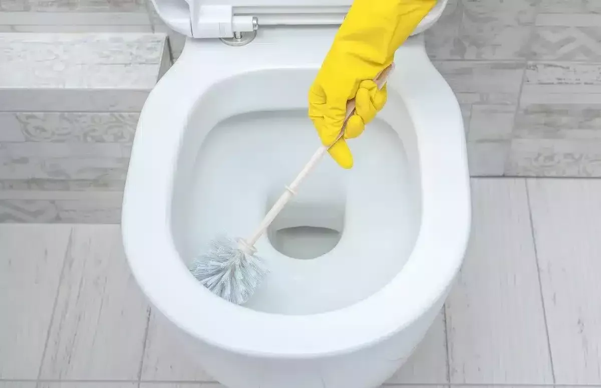 Ulijte ga u WC prije dolaska gostiju: ugodna aroma će se razviti za nekoliko minuta.