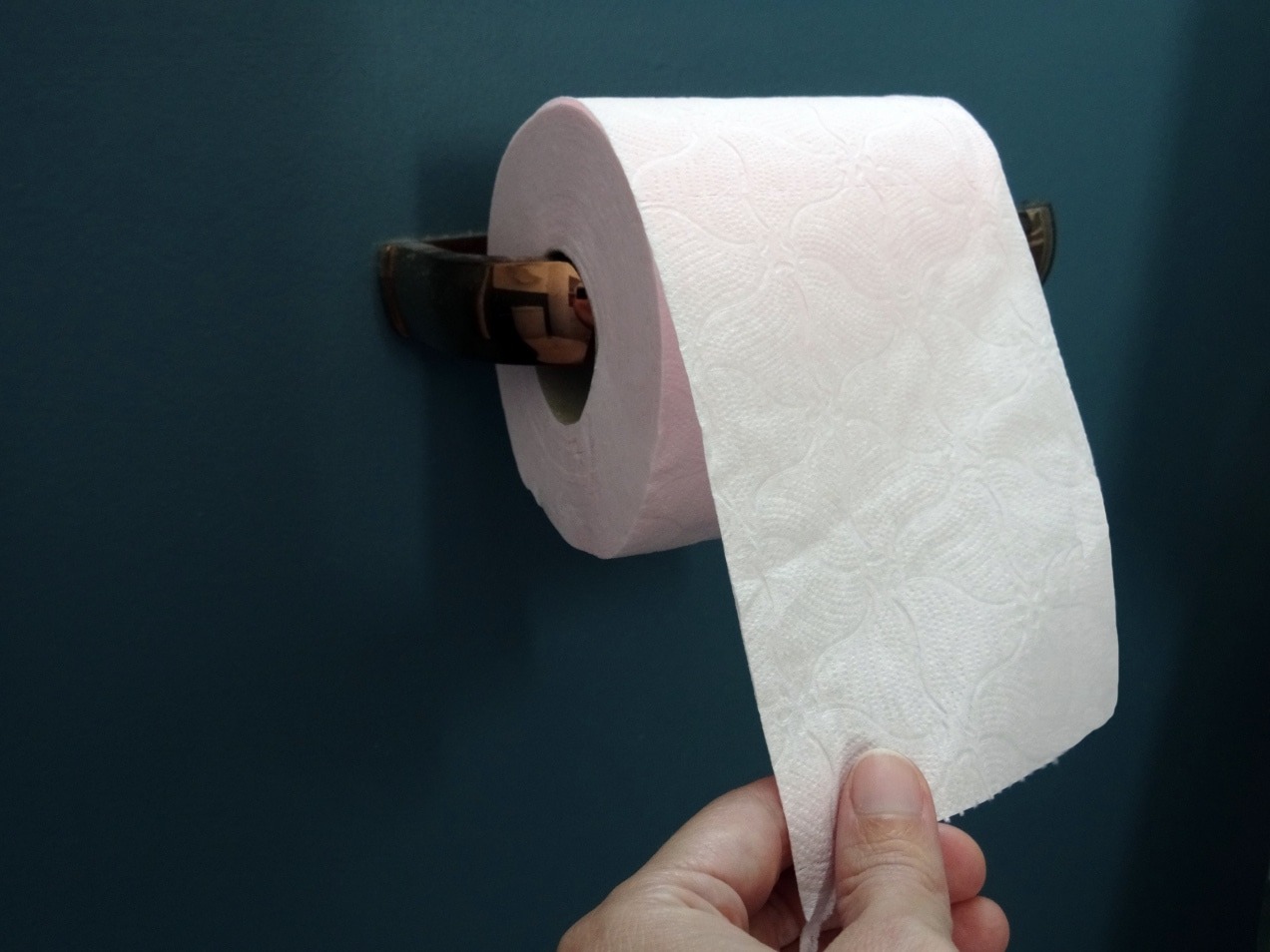 Ljudi odustaju od toalet papira. Postoji bolja alternativa. Stručnjaci WHO-a u to ne sumnjaju.