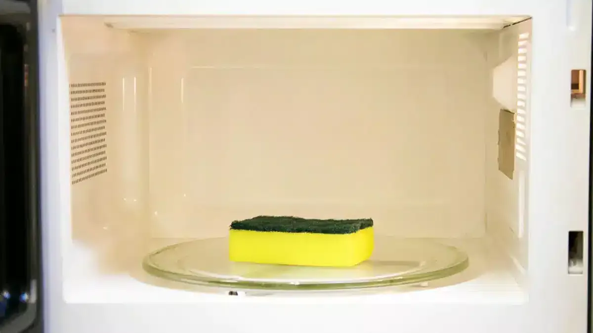 Rijetki to znaju, ali vlažna spužva u mikrovalnoj pećnici jedan je od najkorisnijih savjeta za kućanstvo.