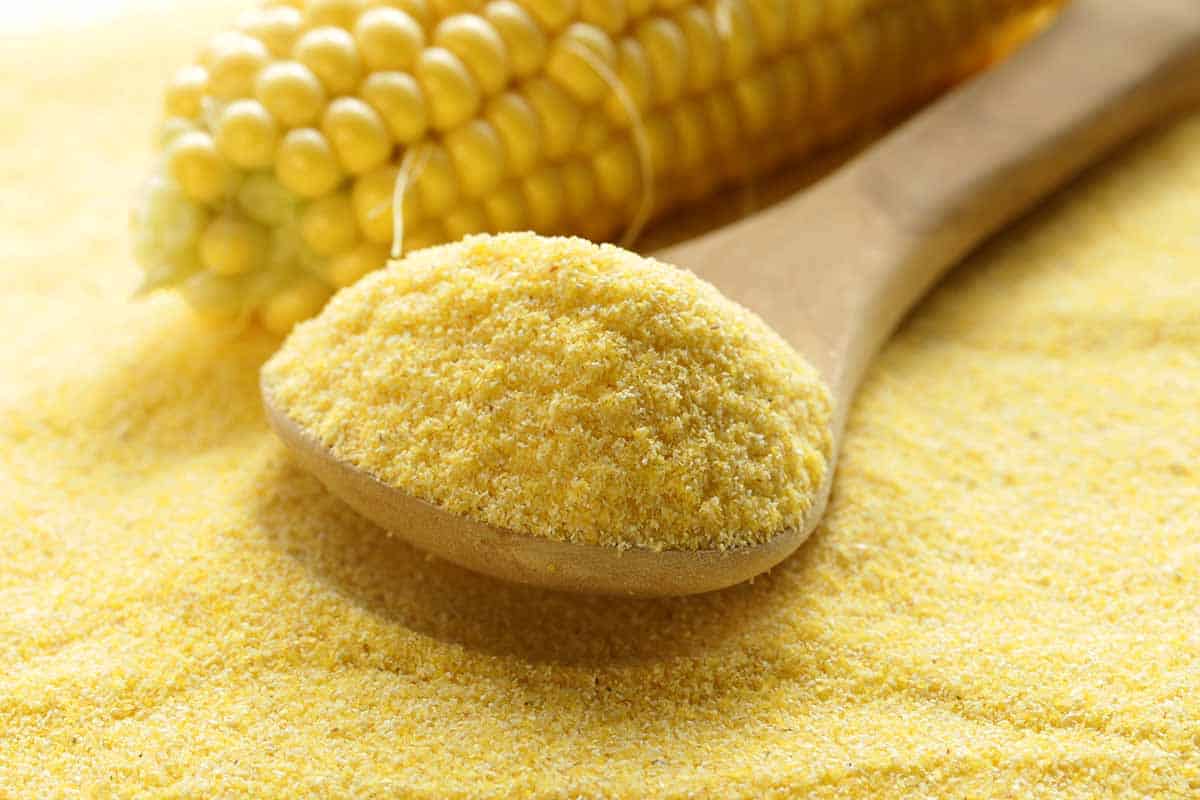 Sadnja palente u gredice: čemu služi i zašto se preporučuje.