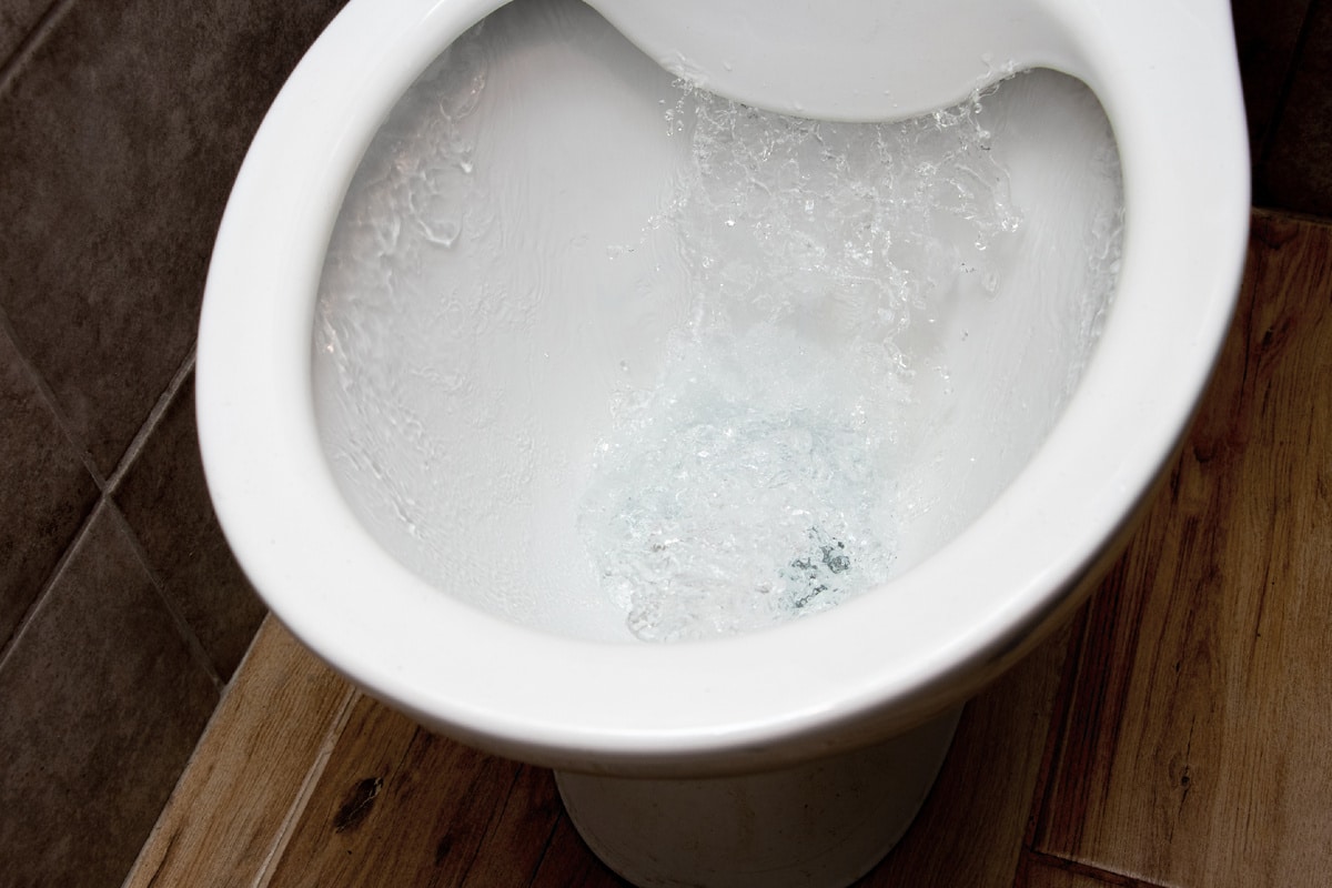 Izlijte ga u WC školjku prije spavanja. Ujutro će biti bijel kao nov.