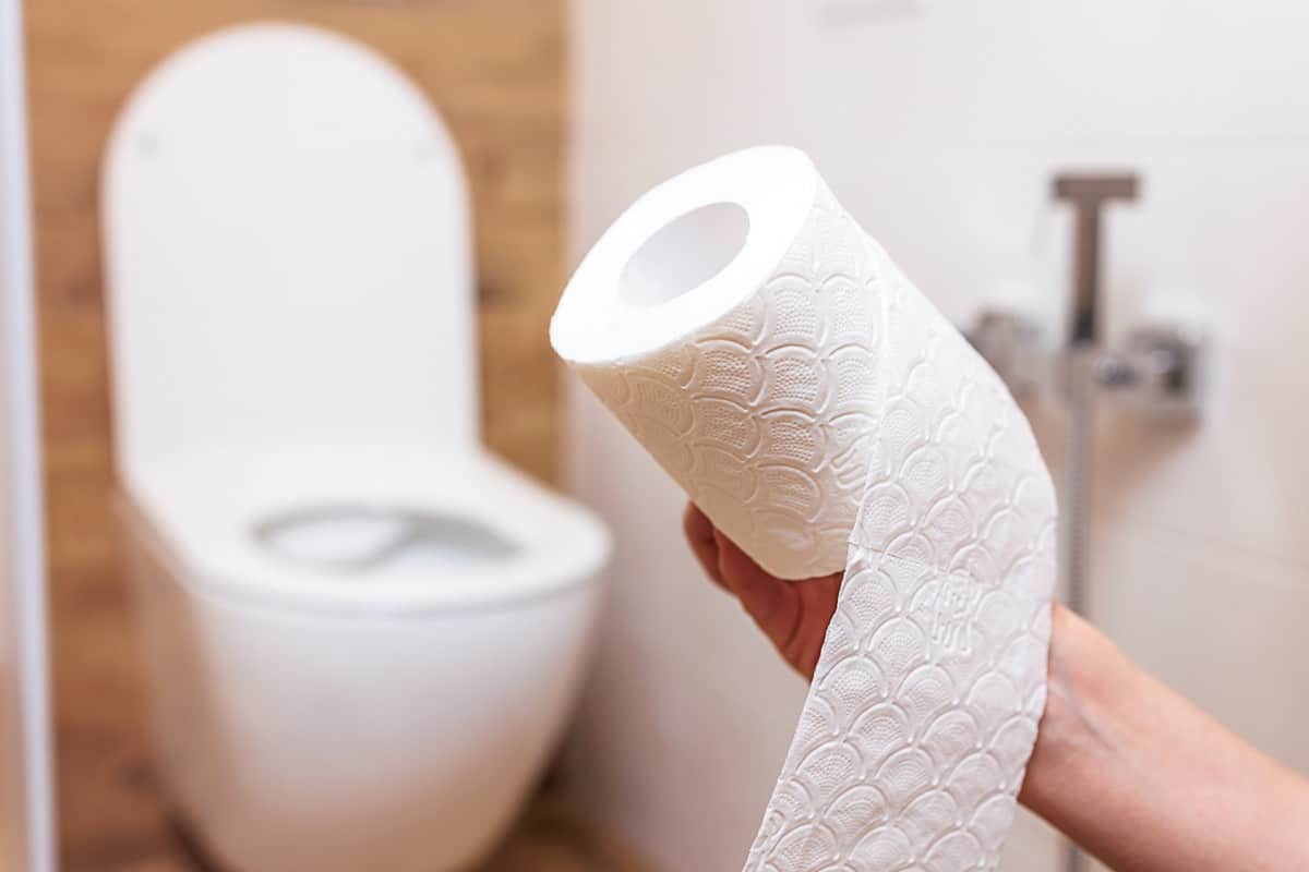 Era toaletnog papira se bliži kraju; sve više i više ljudi bira učinkovitije alternative.