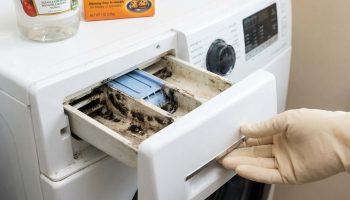 Hitno provjerite ladicu za prašak u perilici rublja: zašto se tamo skuplja crna plijesan i kako je ukloniti jednom zauvijek (ne klorom!)