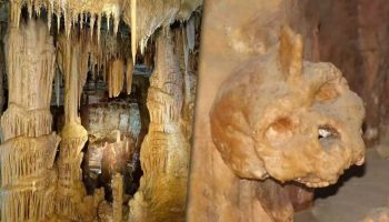 U Grčkoj je pronađena 300.000 godina stara lubanja koja nije ni ljudska ni neandertalska.