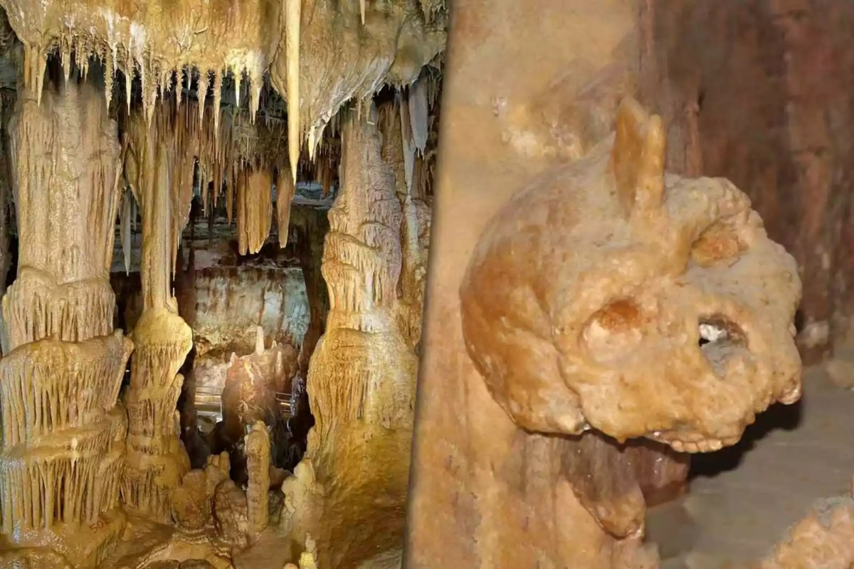 U Grčkoj je pronađena 300.000 godina stara lubanja koja nije ni ljudska ni neandertalska.