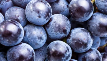 Naučnici podigli alarm: 168 hemikalija uništava creva, a i dalje ih masovno unosimo