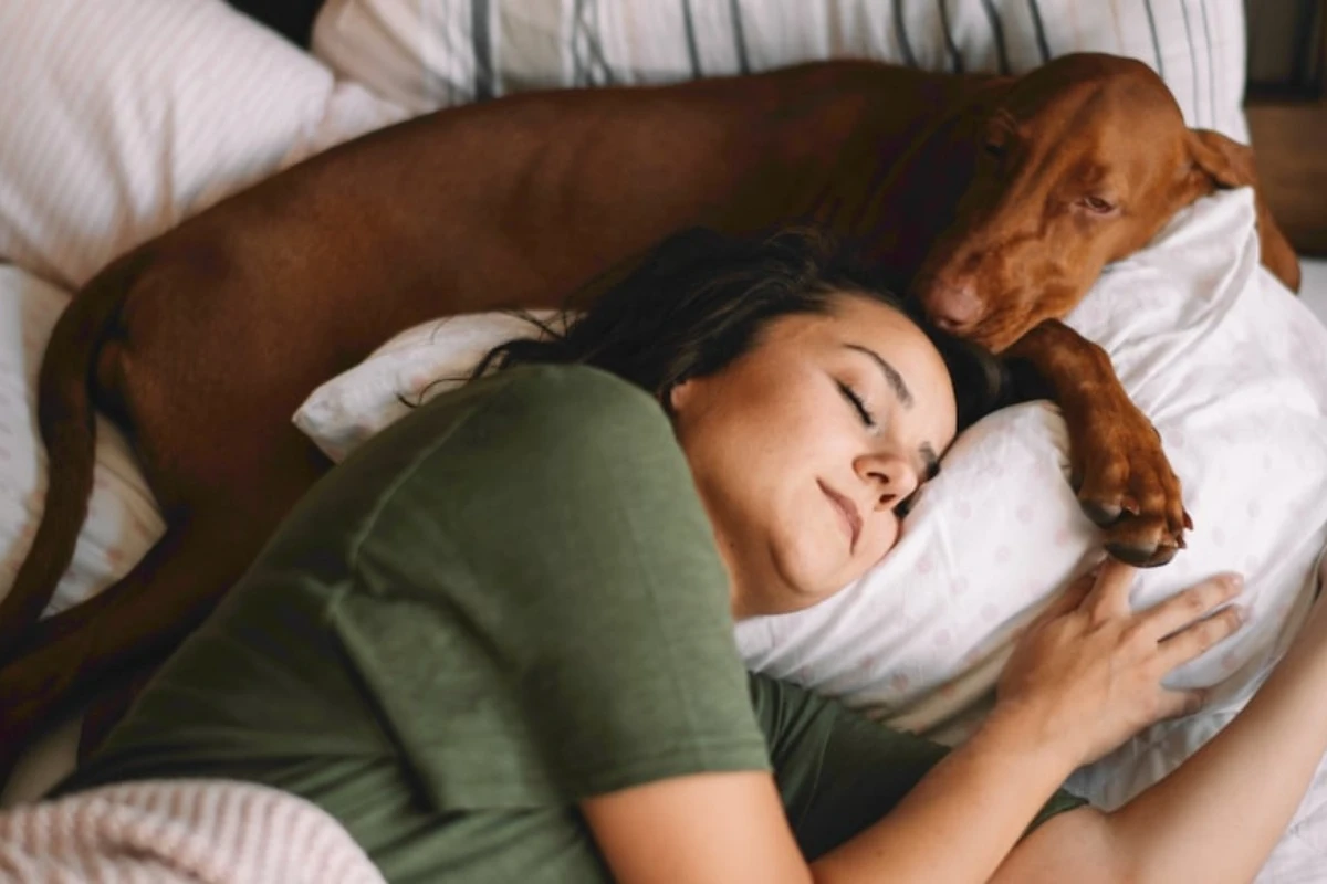 Šta vaš pas oseća kada spava sa vama u krevetu, prema mišljenju stručnjaka