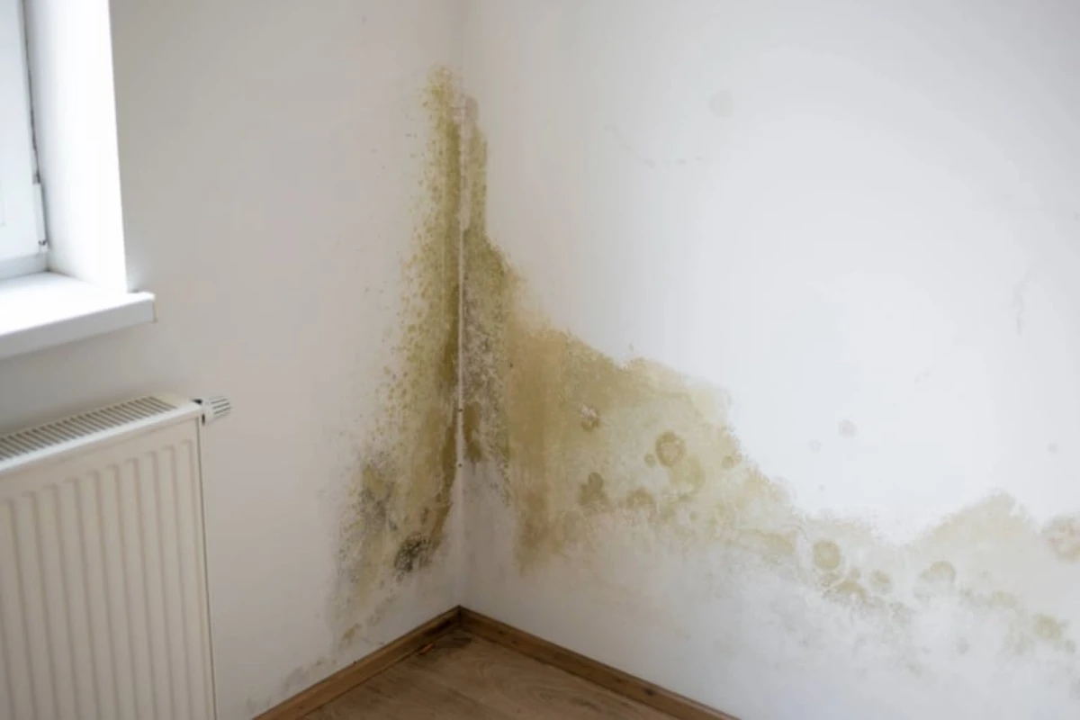 Dobre vesti za one koji imaju vlagu na zidovima: Jednostavno rešenje koje možete primeniti već danas