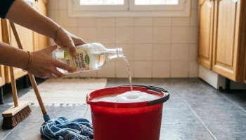 Zašto se preporučuje dodavanje sirćeta u vodu za čišćenje podova