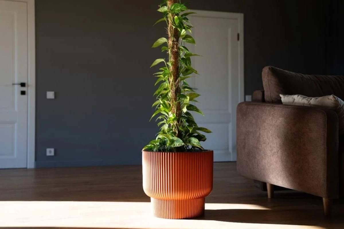 Pet originalnih načina da usmerite rast svog potosa kako bi potpuno promenio svoj oblik i veličinu – image 4